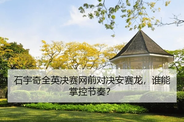 shi-yu-qi-quan-ying-jue-sai-wang-qian-dui-jue-an-sai-long-shui-neng-zhang-kong-jie-zou-2-382.jpg